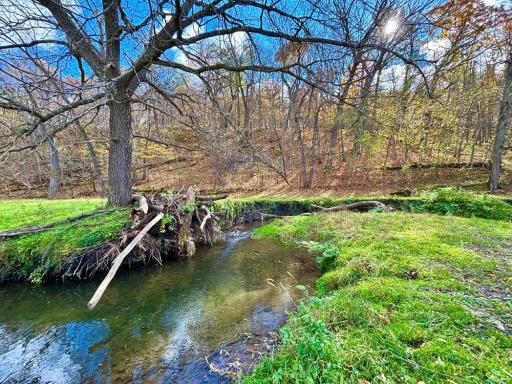 29651 County 5, Wykoff, MN 55990