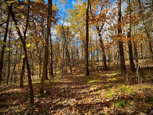 29651 County 5, Wykoff, MN 55990