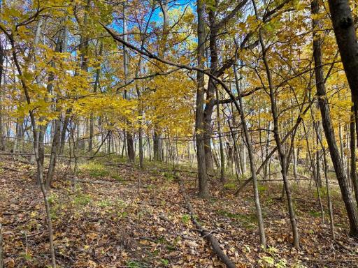 29651 County 5, Wykoff, MN 55990