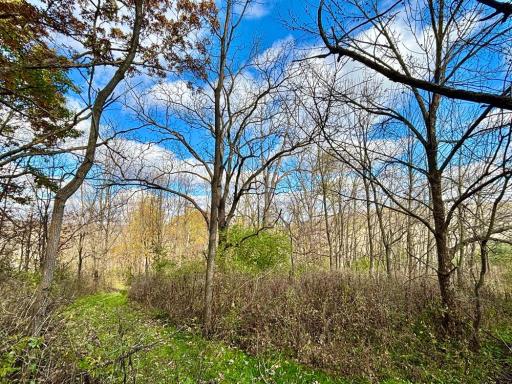 29651 County 5, Wykoff, MN 55990