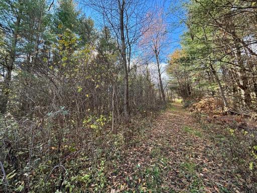 29651 County 5, Wykoff, MN 55990
