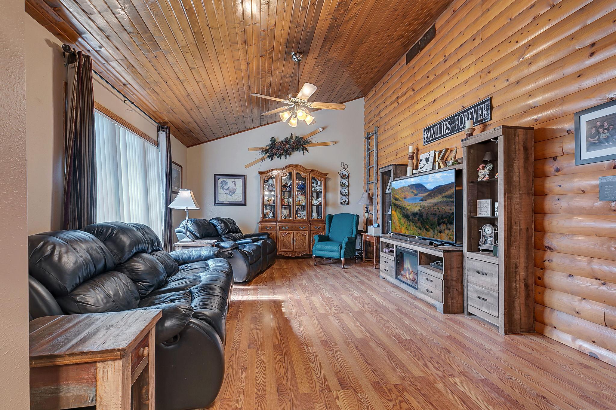 Living Room - main level
