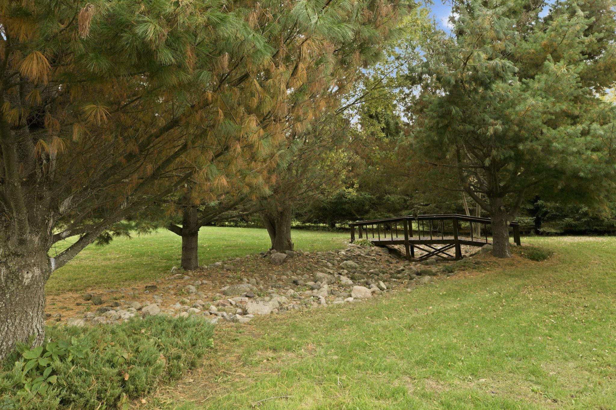 Front yard - bridge