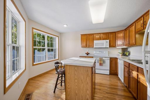 19107 Jackson Court NW, Elk River, MN 55330