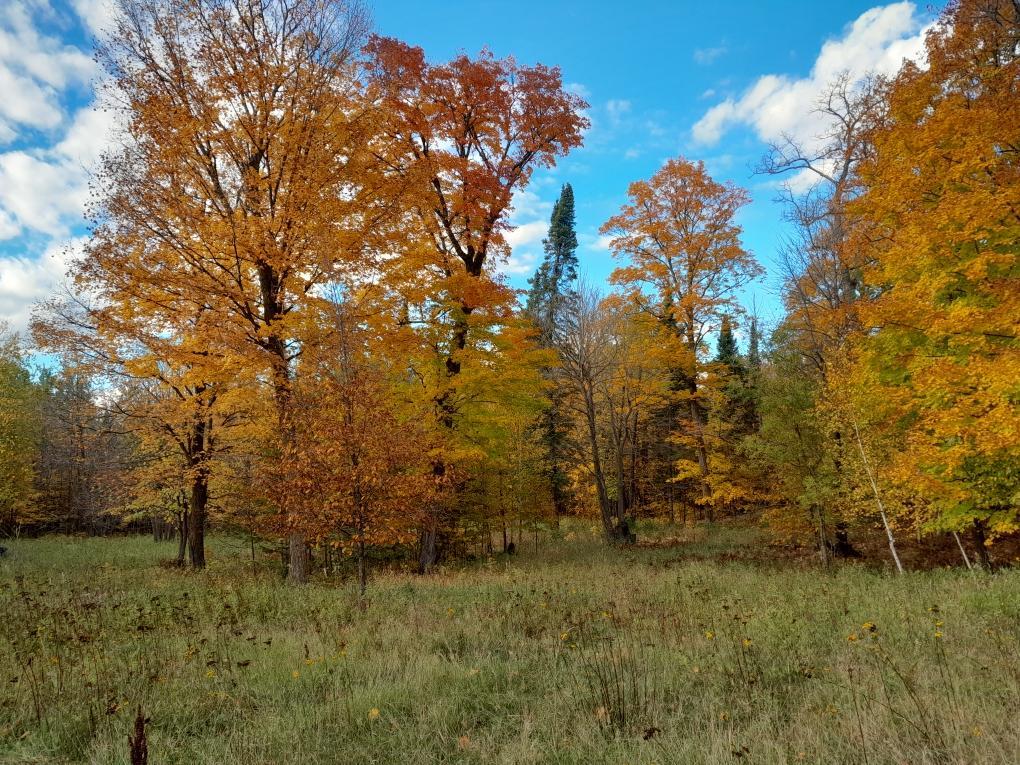 Property photo for 47624 Bowstring C, Deer River, MN 56636
