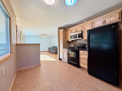 308 2nd Street SE, Pelican Rapids, MN 56572