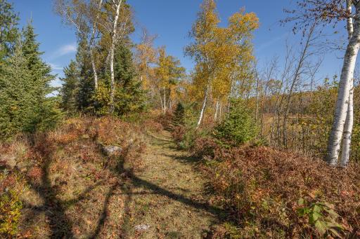 2967 Diamond Crest Road NE, Longville, MN 56655