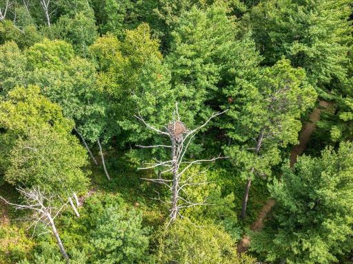 9800 Trails End Road, Pequot Lakes, MN 56472