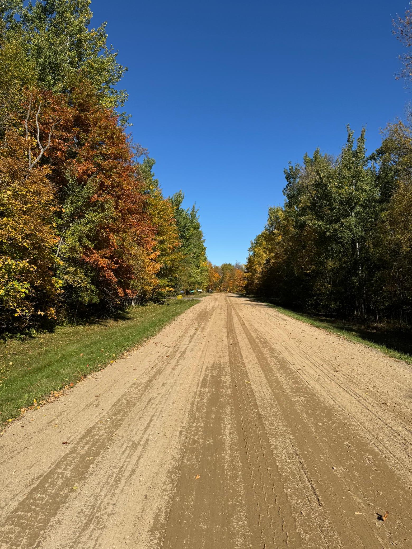 looking north from the driveway