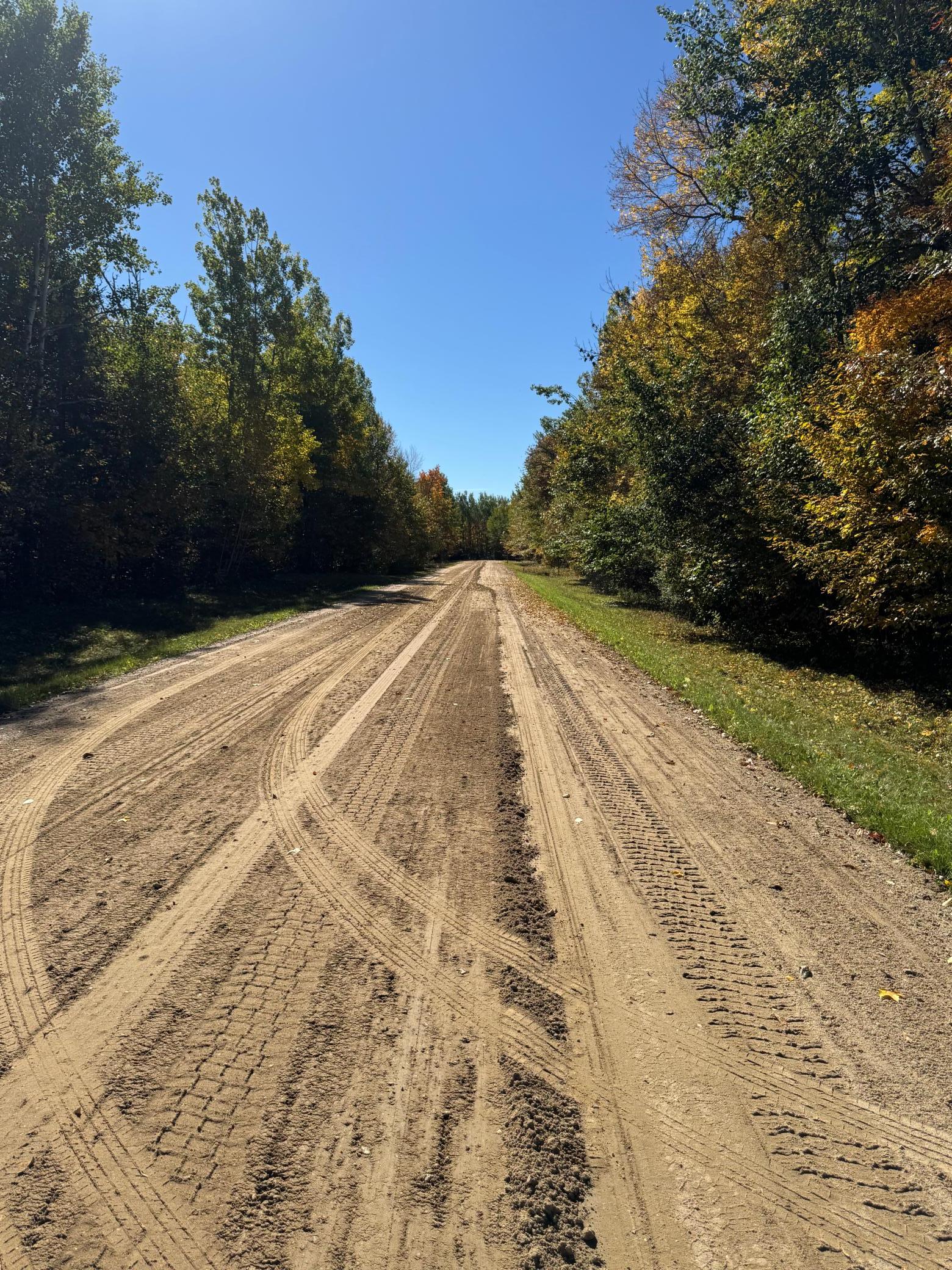 looking south from the driveway