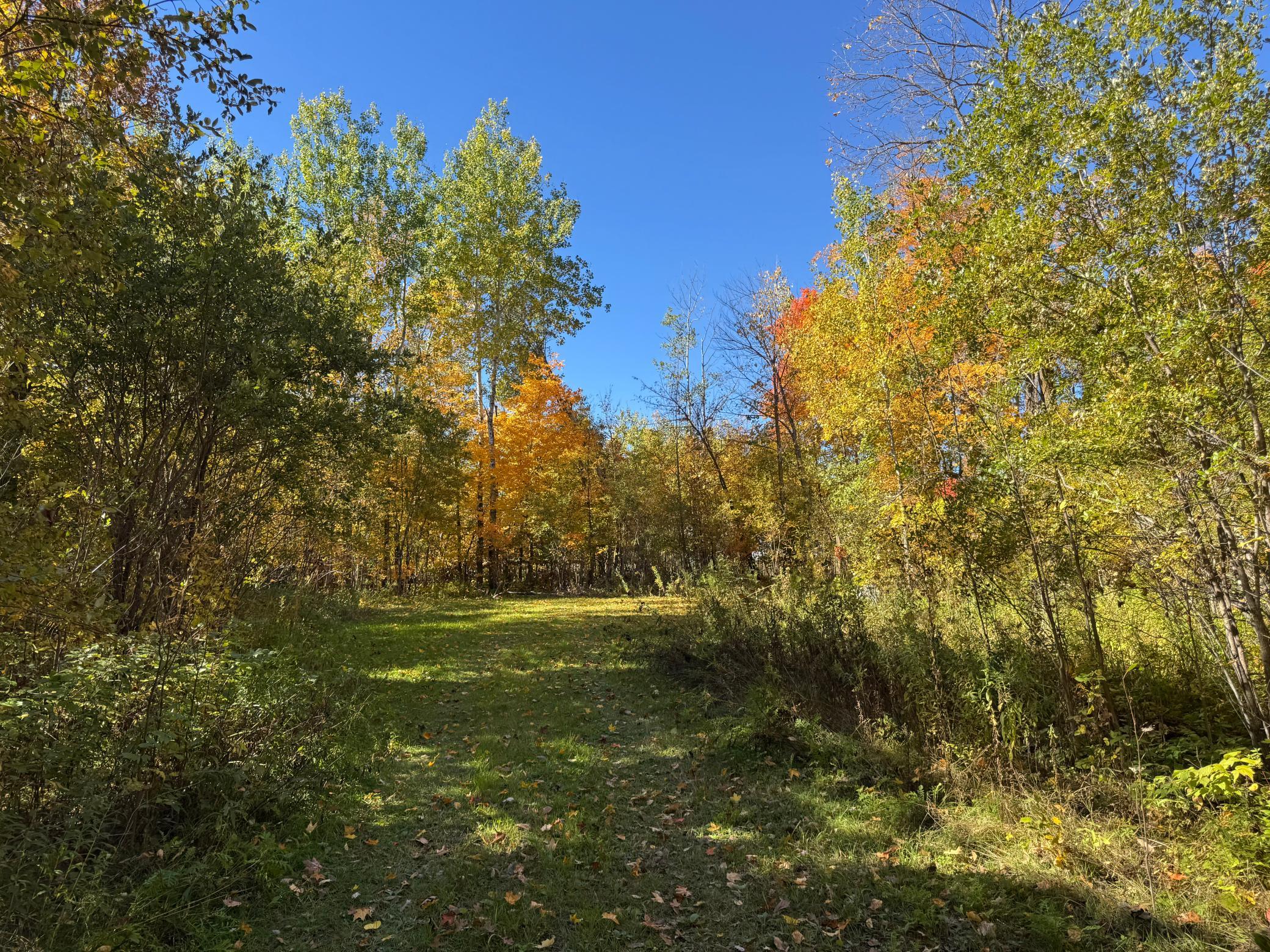 Property photo for 51265 Vagabond Loop, Bemidji, MN 56601