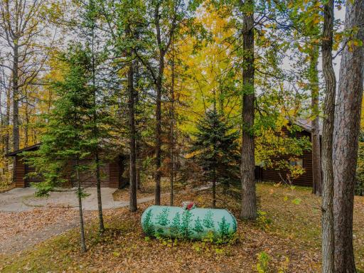 24441 Evergreen Drive, Nevis, MN 56467
