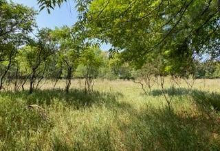 Beautiful property right on County Road 1, Sartell