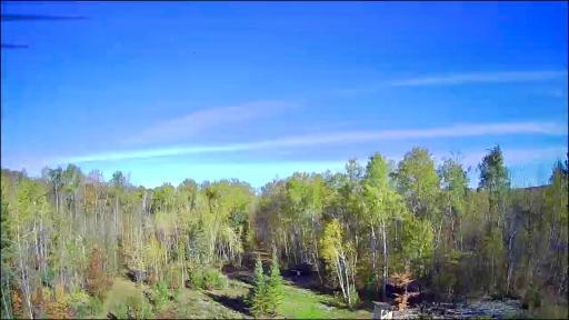 19196 State Highway 18, MN 56350