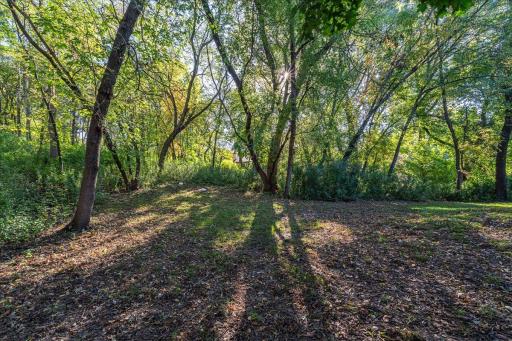 299 River Woods Lane, Burnsville, MN 55337