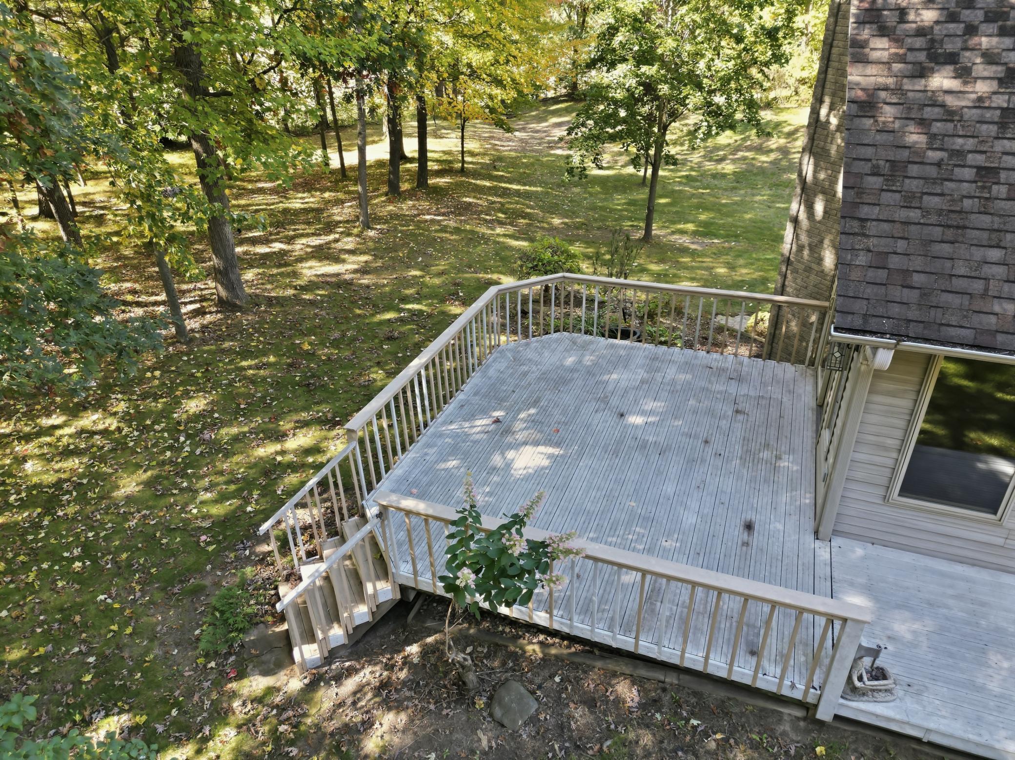 Photo 46