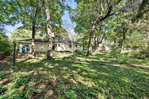 Out back, the yard opens to an expansive lawn dotted with mature trees, creating a peaceful, park-like backdrop with no immediate rear neighbor.