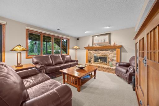 Comfortable Family Room in Walkout Level
