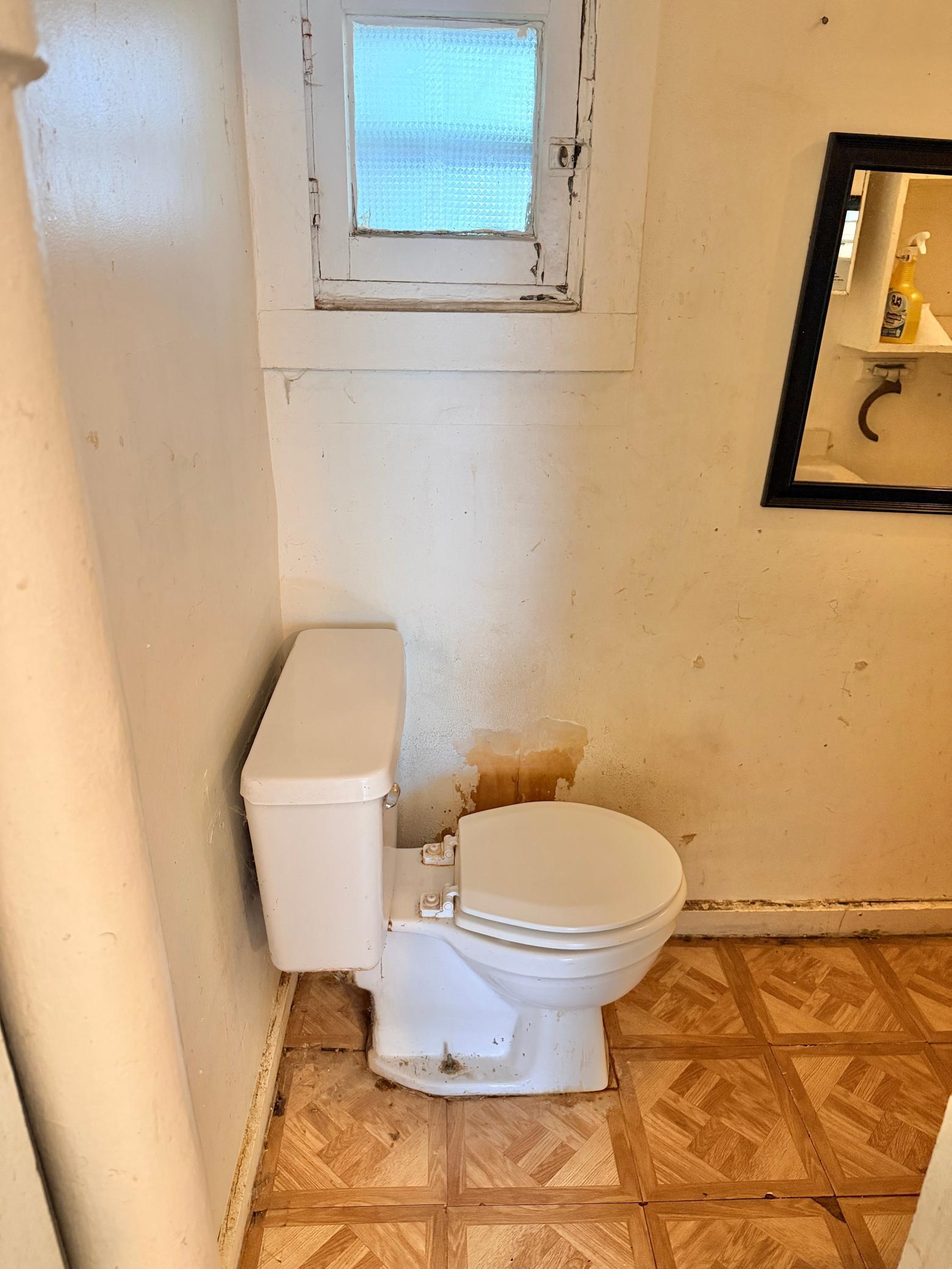 Main floor bathroom