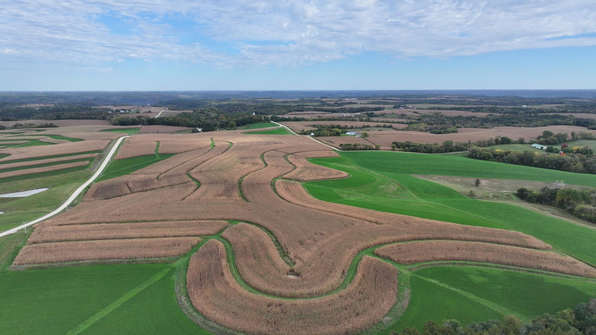 DJI_20261003153616_0760_D.JPG