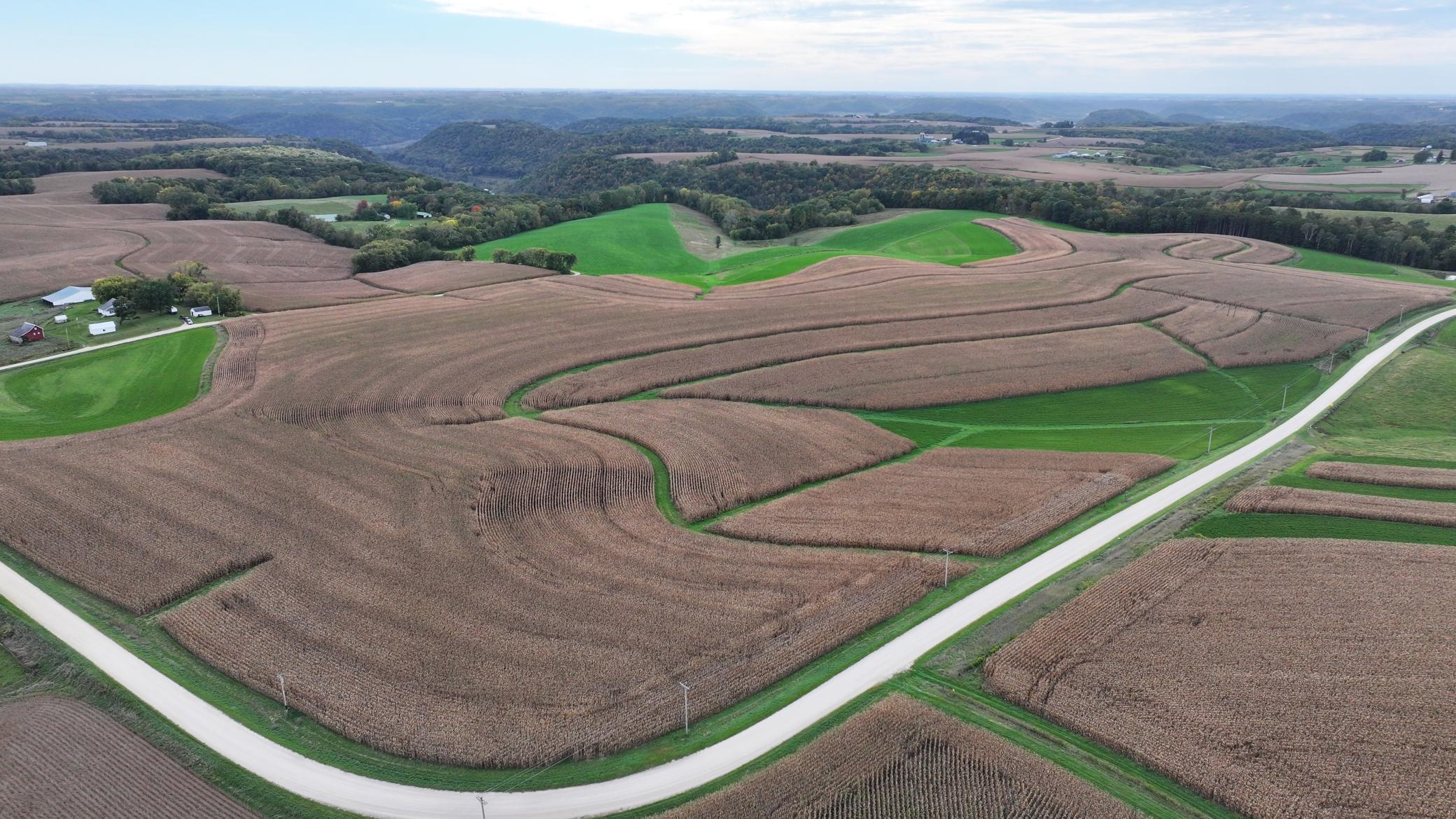 DJI_20261003153310_0755_D.JPG