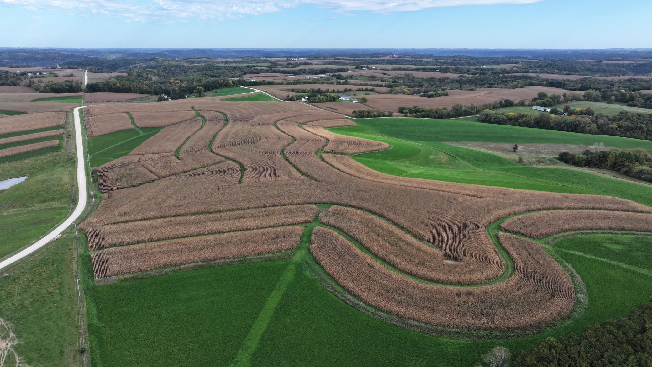 DJI_20261003153600_0759_D.JPG