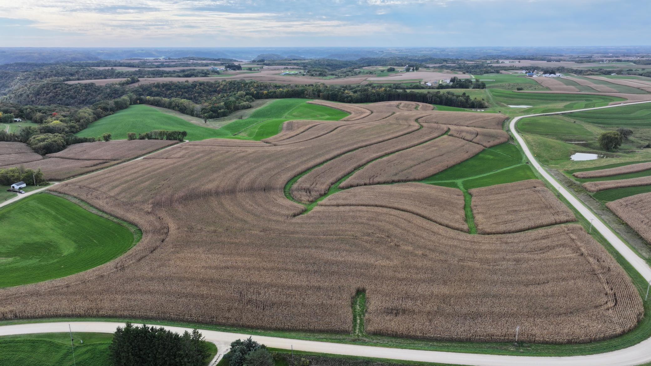DJI_20261003153231_0754_D.JPG