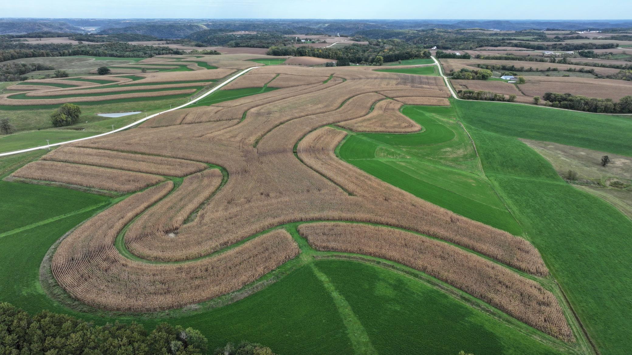 DJI_20261003153644_0762_D.JPG