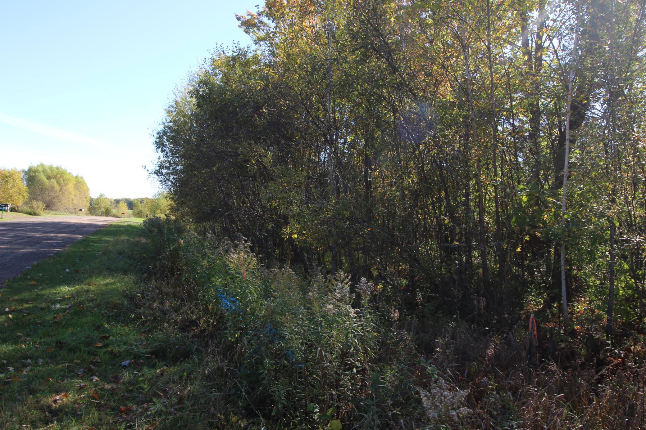 Road view from the west side, survey stake is marked in orange tape.