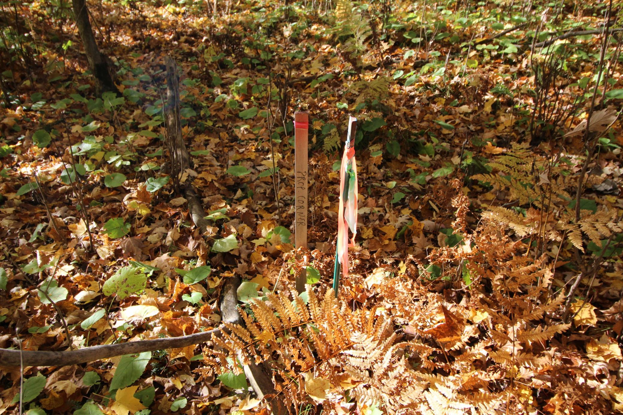 SW corner of property