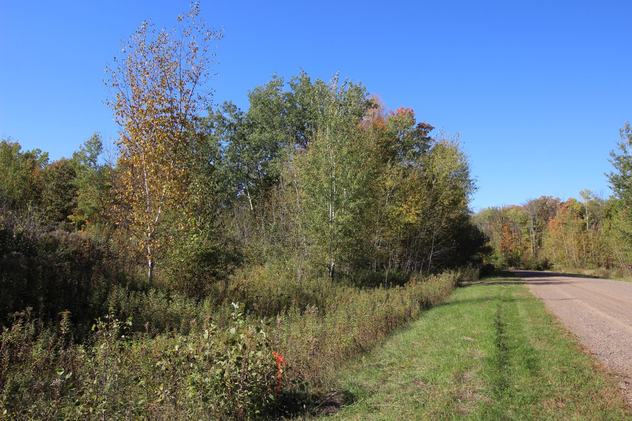 Estimated NE boundary is flagged in orange. Surveyor has been hired to finalize. Road frontage from east side, property is on the left.