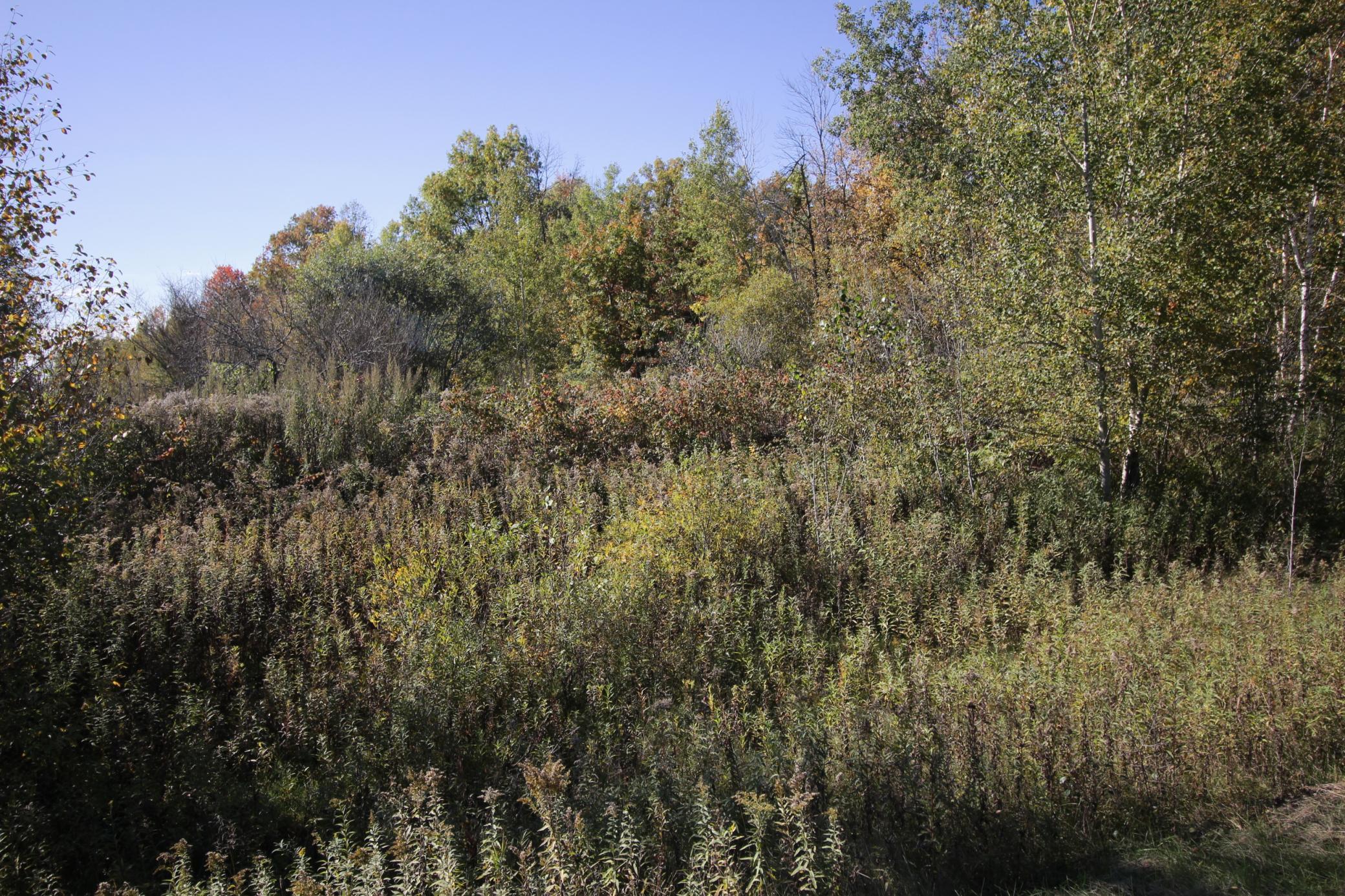 From neighbors lot on east side overlooking the lot.