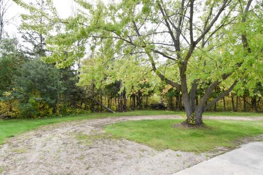 16368 State Highway 1 NW, Thief River Falls, MN 56701