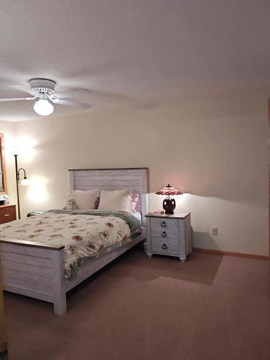 Spacious primary bedroom with huge walk-in closet. Even a second closet in this room!