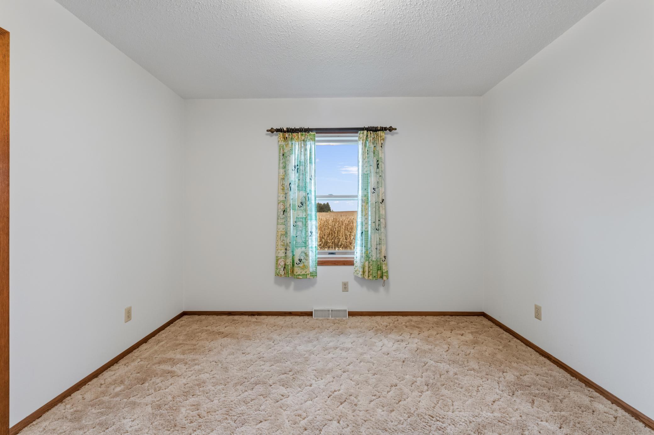 11619 Plitzuweit Rd Caledonia MN (13).jpg
