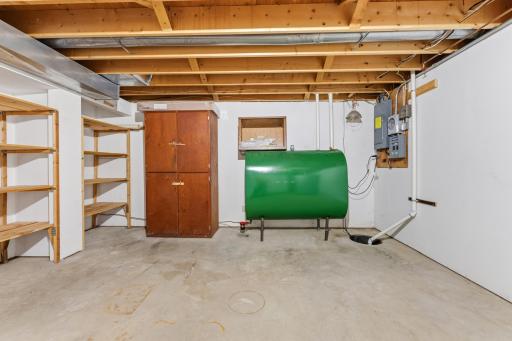 11619 Plitzuweit Rd Caledonia MN (18).jpg