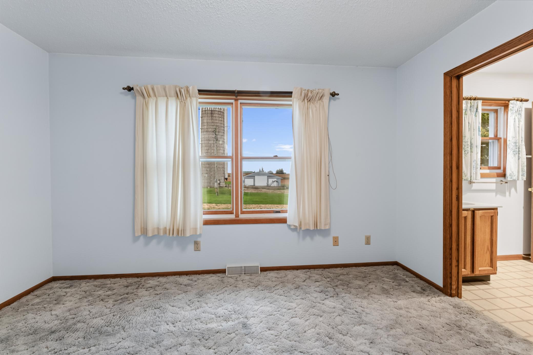 11619 Plitzuweit Rd Caledonia MN (10).jpg