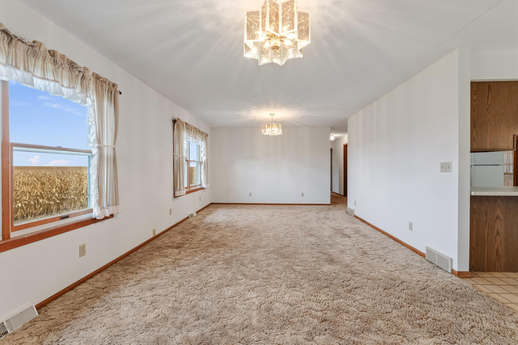 11619 Plitzuweit Rd Caledonia MN (4).jpg