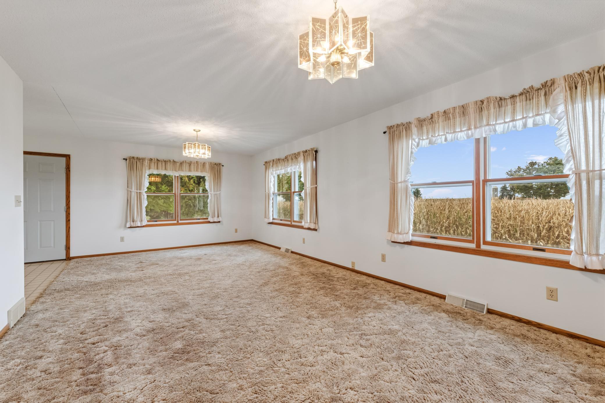 11619 Plitzuweit Rd Caledonia MN (2).jpg
