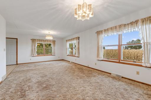 11619 Plitzuweit Road, Caledonia, MN 55921