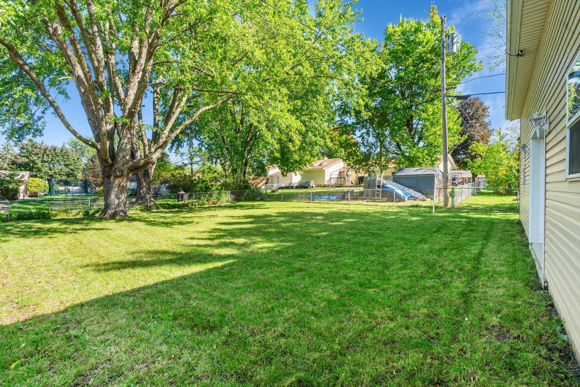 Back Yard
