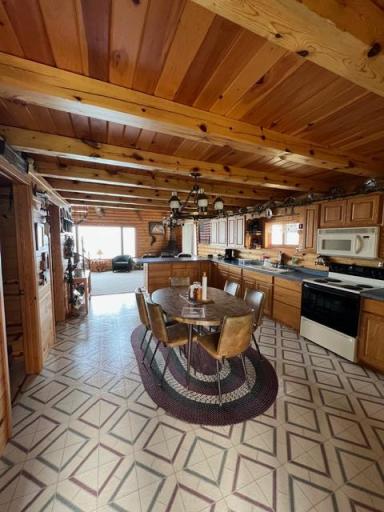 25667 Lou Rayne Beach Road NE, Waskish, MN 56685