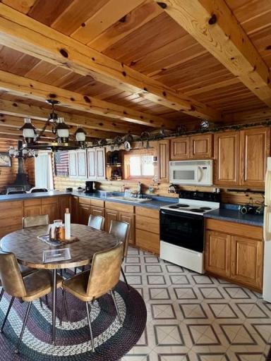 25667 Lou Rayne Beach Road NE, Waskish, MN 56685
