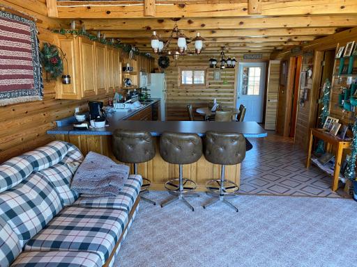 25667 Lou Rayne Beach Road NE, Waskish, MN 56685