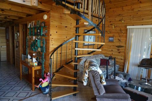 25667 Lou Rayne Beach Road NE, Waskish, MN 56685