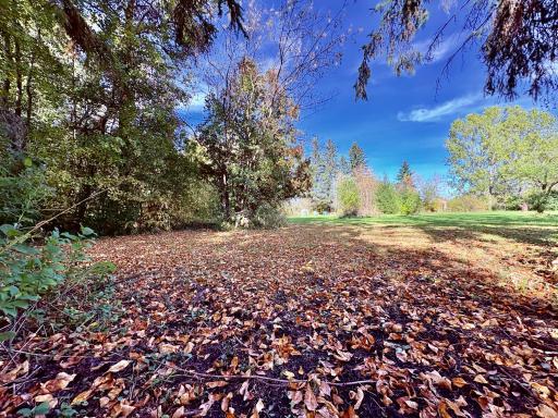 Fall is in the air!