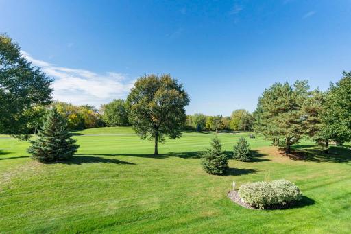 16345 Crystal Hills Circle, Lakeville, MN 55044