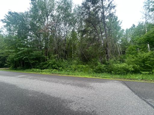 TBD SW 1st Ave, Grand Rapids, MN 55744