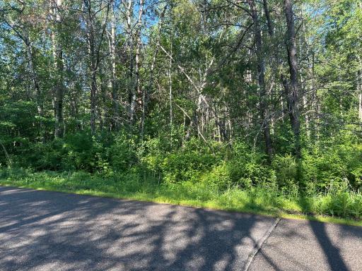TBD SW 1st Ave, Grand Rapids, MN 55744