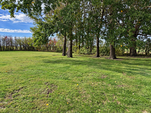 27396 County Road 45, Comfrey, MN 56019